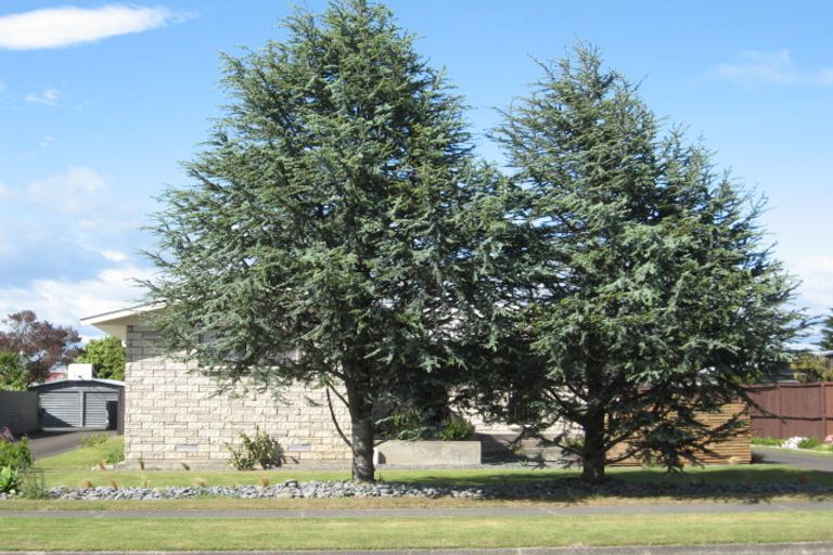 Photo of property in 82 Anzac Street, Gisborne, 4010