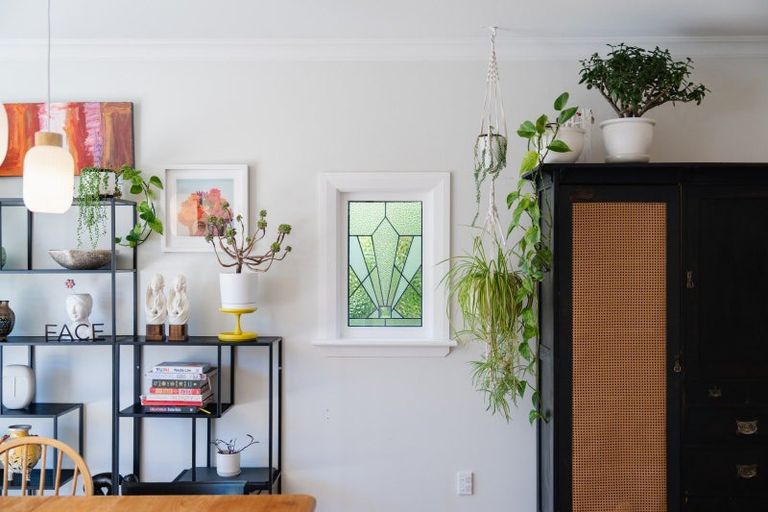 Photo of property in 43 Melrose Street, Roslyn, Dunedin, 9010