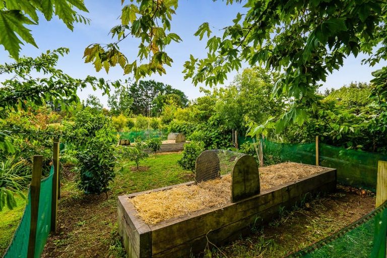 Photo of property in 171 Sealy Road, Omata, New Plymouth, 4374