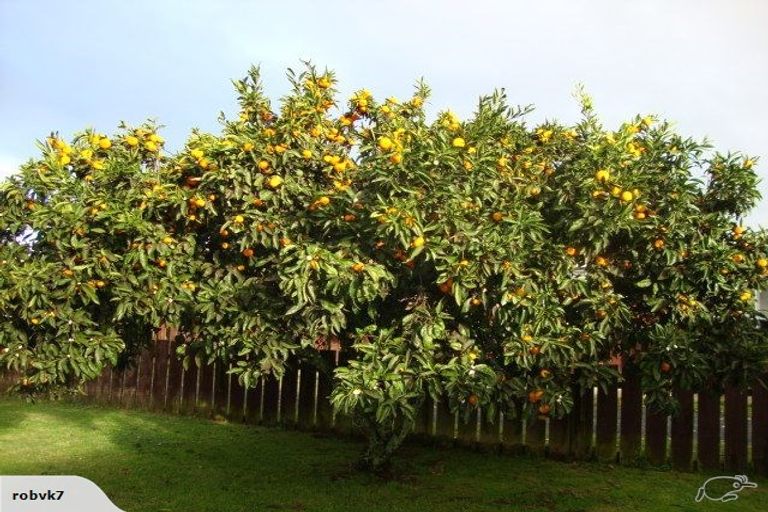 Photo of property in 21 Whitaker Street, Kihikihi, Te Awamutu, 3800