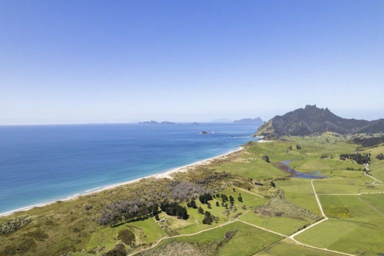 Photo of property in 85 Blue Horizon Road, Whangarei Heads, Whangarei, 0174