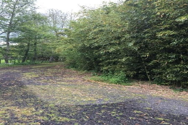 Photo of property in 198 Buckville Road, Buckland, Pukekohe, 2677