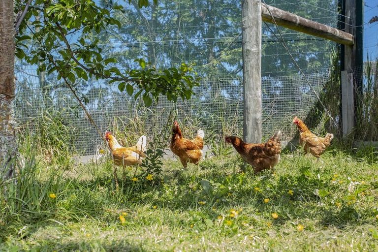 Photo of property in 172 Douds Road, Sefton, Rangiora, 7477