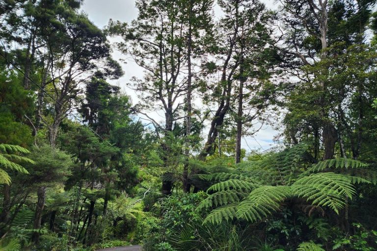 Photo of property in 105 Lone Kauri Road, Karekare, New Lynn, 0772