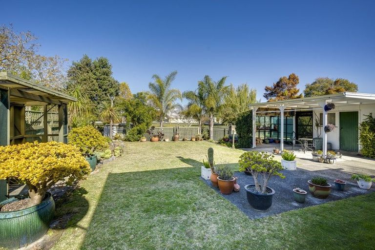Photo of property in 4 Logan Avenue, Marewa, Napier, 4110