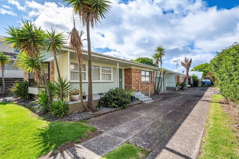 Photo of property in 22 Terrace Avenue, Mount Maunganui, 3116