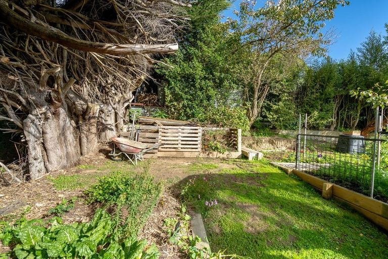 Photo of property in 5 Hellyer Street, Macandrew Bay, Dunedin, 9014