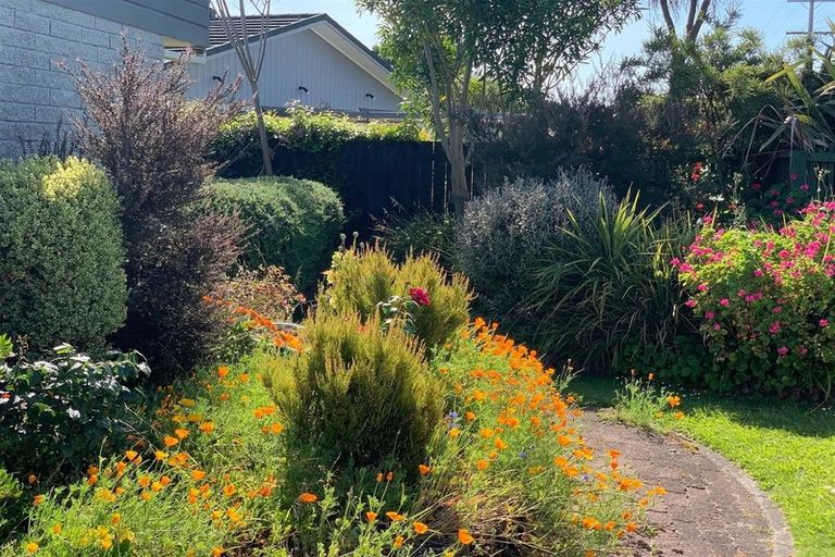 Photo of property in 30 Browning Street, Leamington, Cambridge, 3432