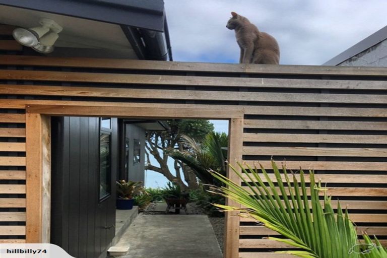 Photo of property in 31 Wanaka Terrace, Bell Block, New Plymouth, 4312