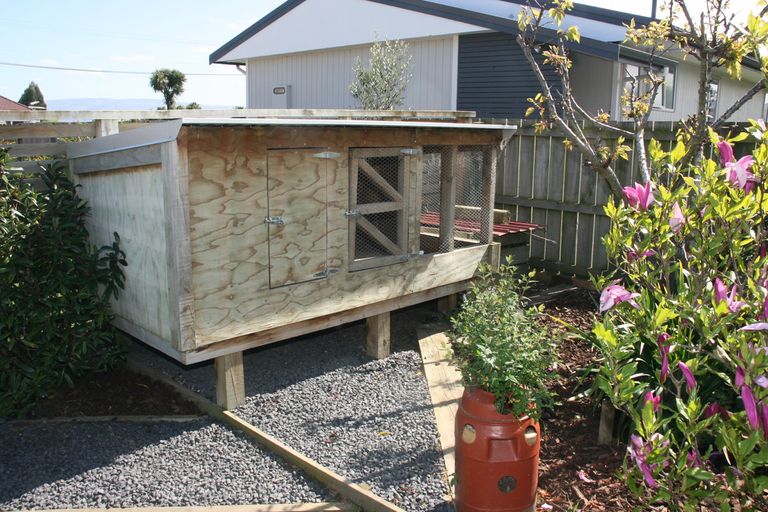 Photo of property in 26 Wingatui Road, Mosgiel, 9024