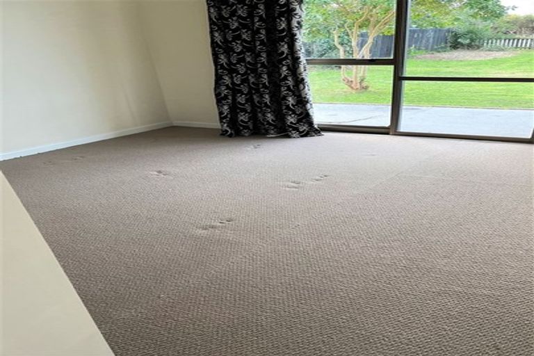 Photo of property in 24 Cove Road, Waipu, 0510