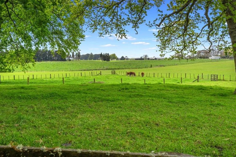 Photo of property in 81c Horrell Road, Morrinsville, 3374