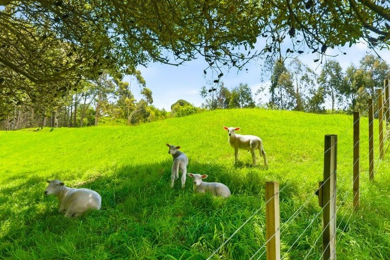 Photo of property in 340d Ngarara Road, Waikanae, 5391