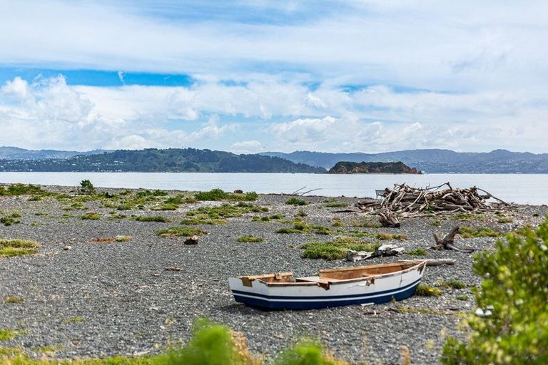 Photo of property in 26 Miro Street, Eastbourne, Lower Hutt, 5013