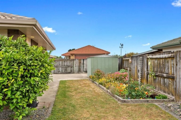 Photo of property in 6 Sequoia Grove, Mount Maunganui, 3116