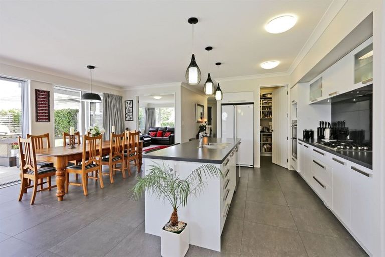 Photo of property in 20 Whittaker Place, Havelock North, 4130