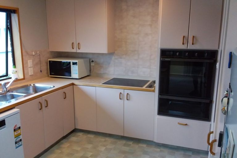 Photo of property in 3 Merlin Street, Roslyn, Dunedin, 9010