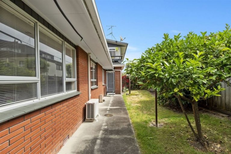 Photo of property in 387d Oceanbeach Road, Mount Maunganui, 3116