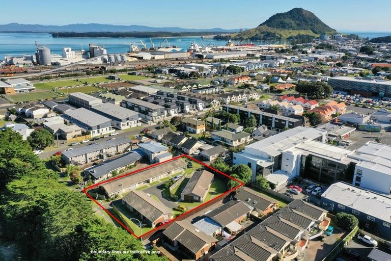 Photo of property in 10 Hinau Street, Mount Maunganui, 3116