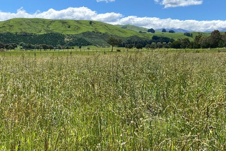 Photo of property in 783 Chester Road, West Taratahi, Carterton, 5791