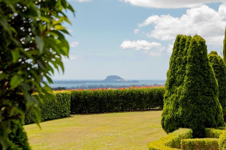 Photo of property in 567b Esdaile Road, Whakamarama, Tauranga, 3180