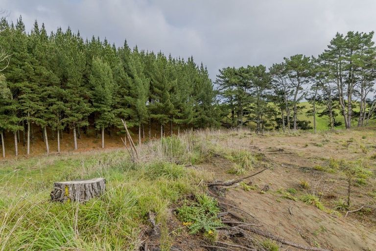 Photo of property in 490 Foxton Shannon Road, Foxton, 4893