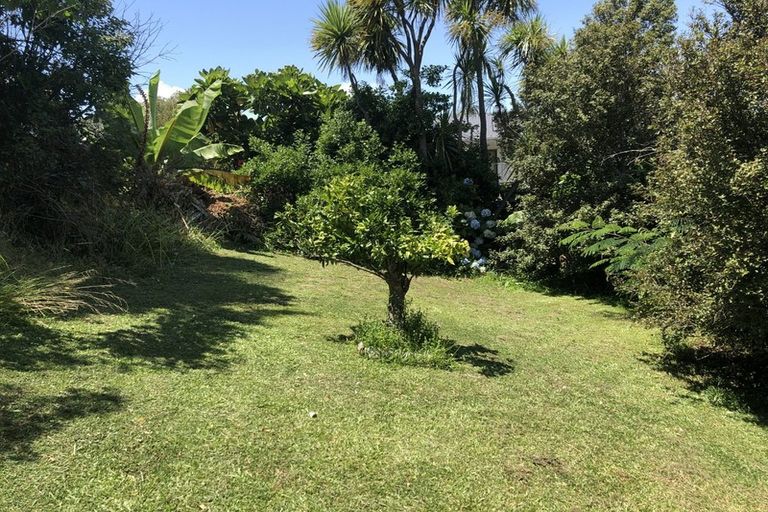 Photo of property in 71 Lynden Avenue, Hillcrest, Auckland, 0627