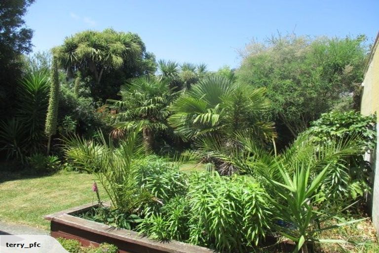 Photo of property in 36 Burke Street, Addington, Christchurch, 8024