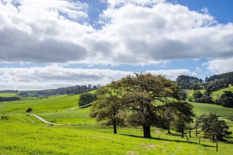 Photo of property in 182 Morrison Road, Arapohue, Dargaville, 0374