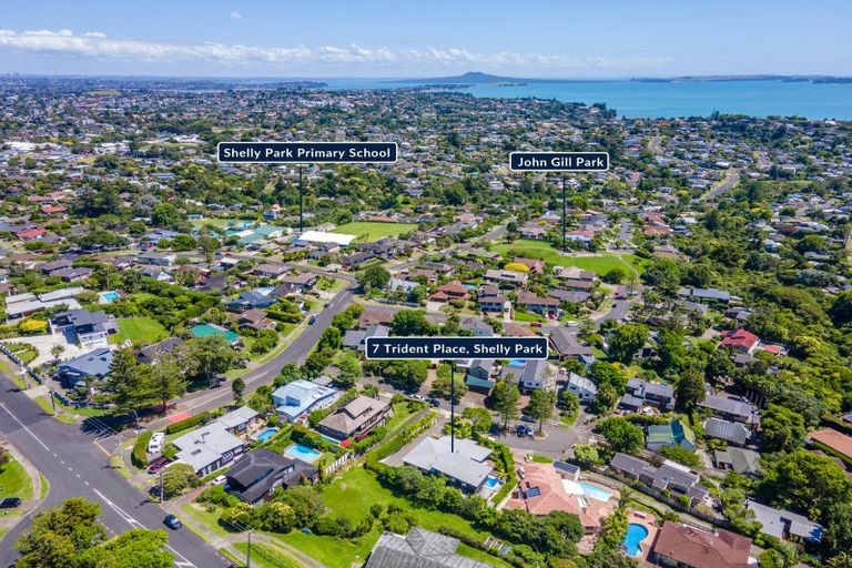 Photo of property in 7 Trident Place, Shelly Park, Auckland, 2014