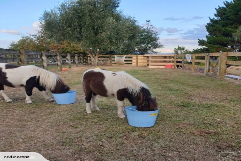 Photo of property in 689 Glen Murray Road, Rangiriri, Huntly, 3772