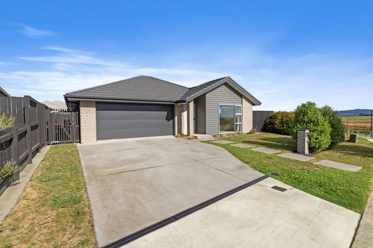 Photo of property in 17 Morrin Street, Morrinsville, 3300