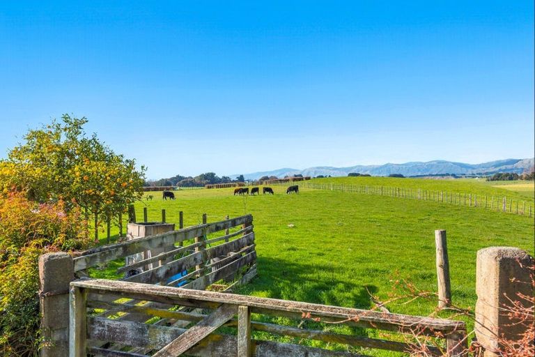 Photo of property in 208 Kukutauaki Road, Koputaroa, Levin, 5575