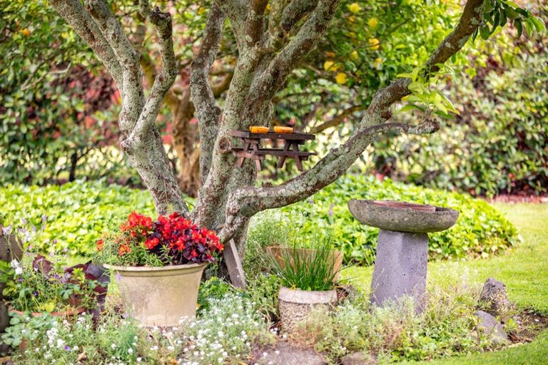 Photo of property in 2 Heron Court, Te Kowhai, Hamilton, 3288