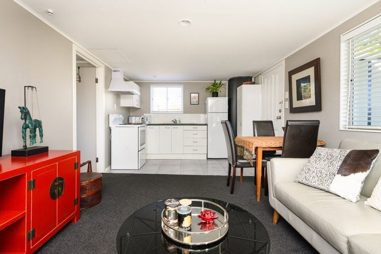 Photo of property in 101a Limbrick Street, Terrace End, Palmerston North, 4410