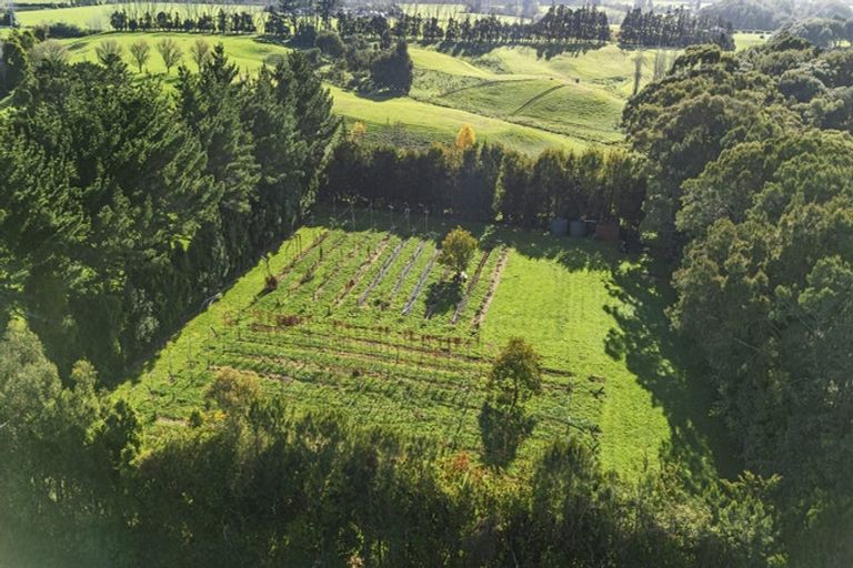 Photo of property in 574 Otaraoa Road, Tikorangi, Waitara, 4383