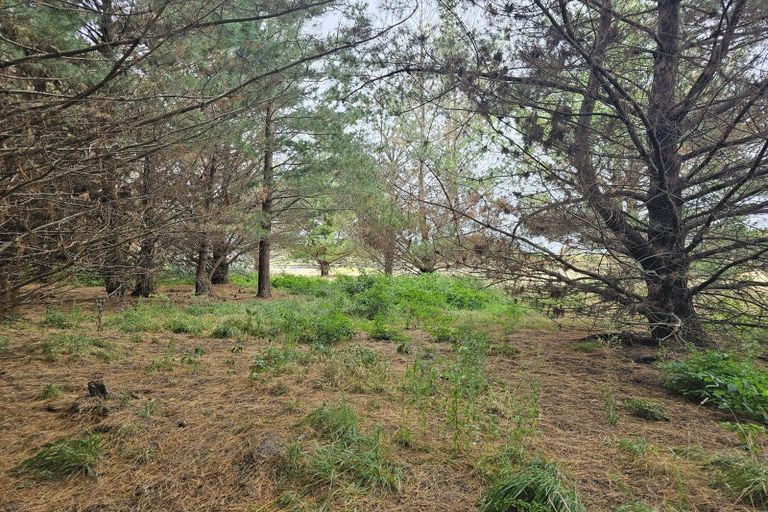 Photo of property in 16 Waka Tete Place, Waitarere, Levin, 5510