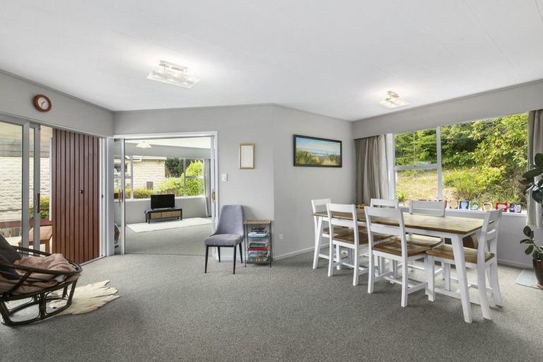 Photo of property in 33 Elliffe Place, Shiel Hill, Dunedin, 9013