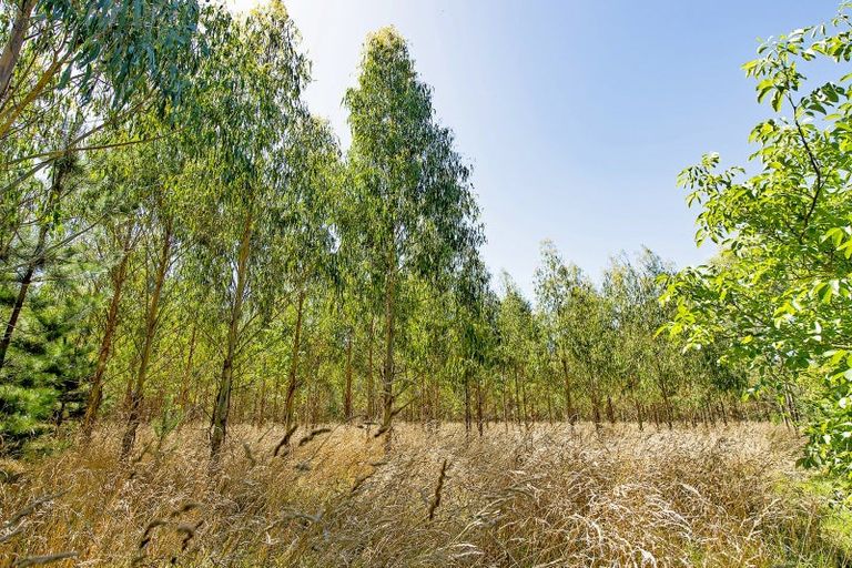 Photo of property in 337 Foothills Road, Okuku, Rangiora, 7473