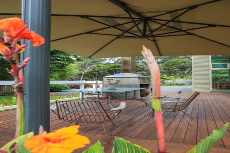 Photo of property in 344 Tapu Coroglen Road, Tapu, Thames, 3575