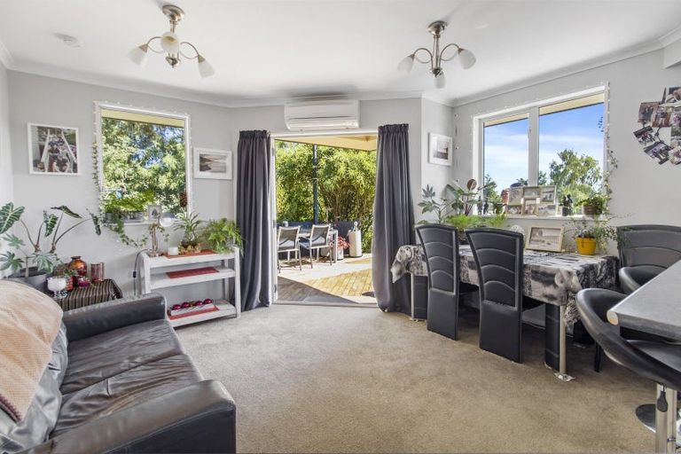 Photo of property in 19 Ameer Street, Pleasant Point, 7903