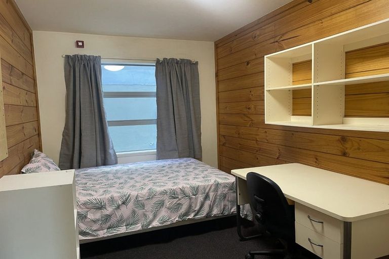 Photo of property in Drummond Street Flats, 2/19 Drummond Street, Mount Cook, Wellington, 6021