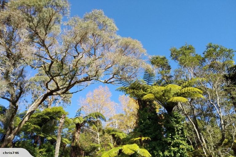 Photo of property in 32 Odey Road, Whakamarama, Tauranga, 3179