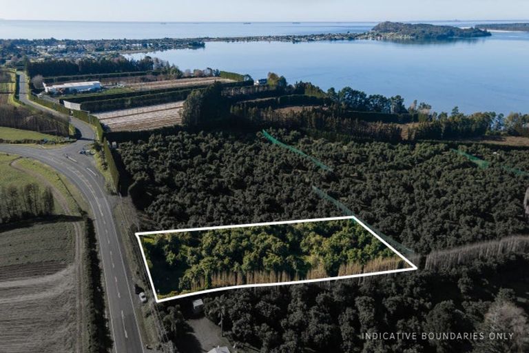 Photo of property in 229 Athenree Road, Athenree, Waihi Beach, 3177