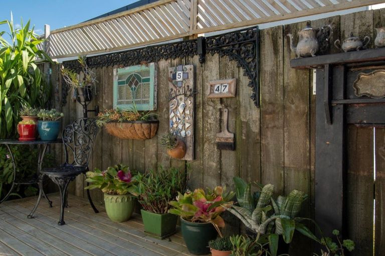 Photo of property in 47b Sheppard Street, Gate Pa, Tauranga, 3112