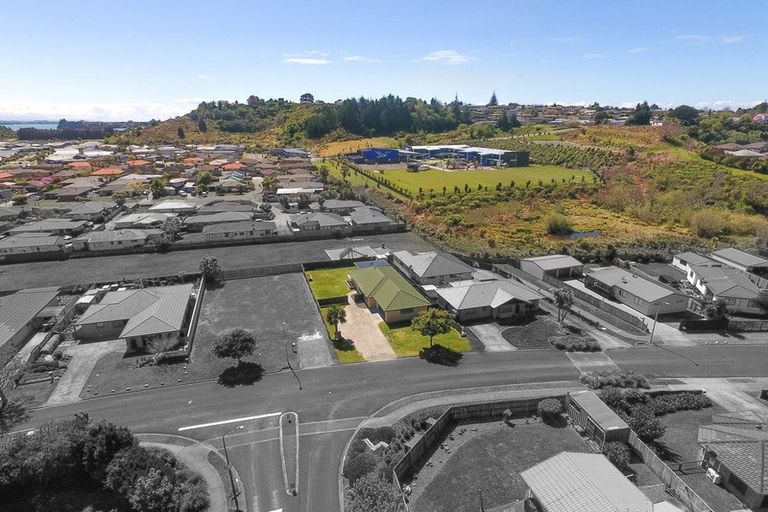 Photo of property in 40 Solomon Street, Brookfield, Tauranga, 3110