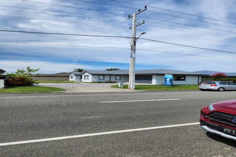 Photo of property in 817 Williams Street, Mahora, Hastings, 4120