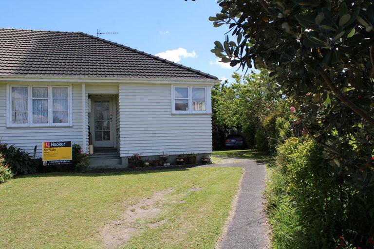 Photo of property in 6 Howard Street, Huntly, 3700