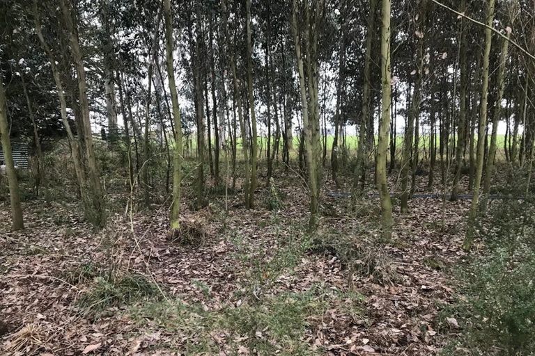 Photo of property in 53 Morven Beach Road, Morven, Waimate, 7980