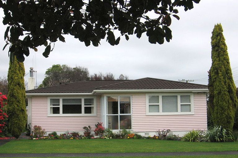 Photo of property in 19 Tasman Street, Levin, 5510